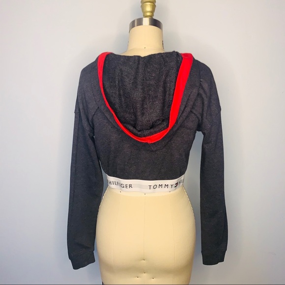 Tommy Hilfiger Cropped L/S Sweatshirt Hoodie - Picture 3 of 6